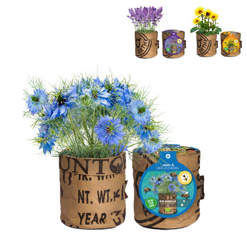 Bijentuintje met bloemenzaden - diverse varianten