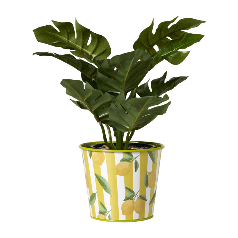 Bloempotje - ø12x10cm - diverse varianten 