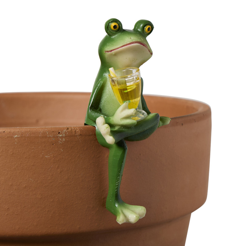 Pothanger kikker met wijn - diverse varianten