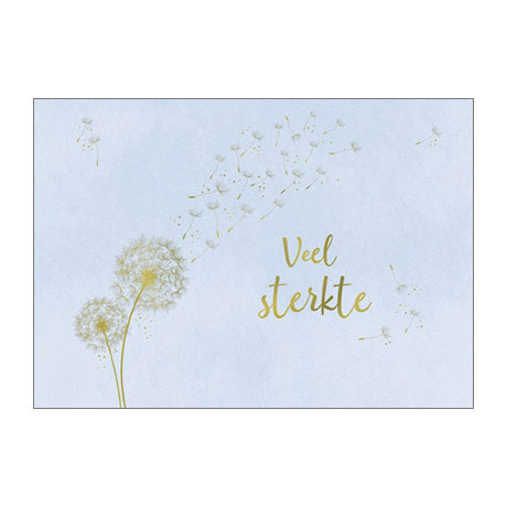 Wenskaarten - goudprint - set van 10