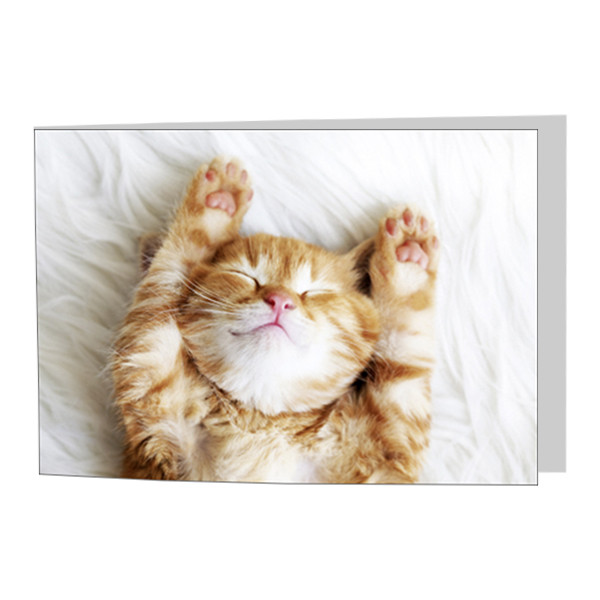 Dubbele wenskaarten vakantie - set van 4