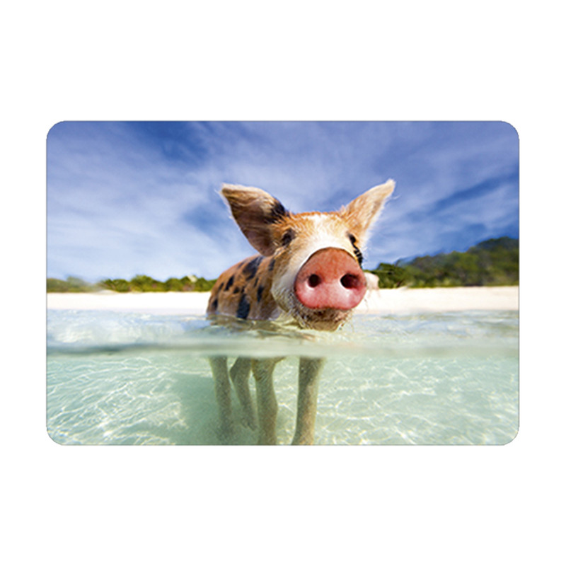 Wenskaarten zomaar - set van 6