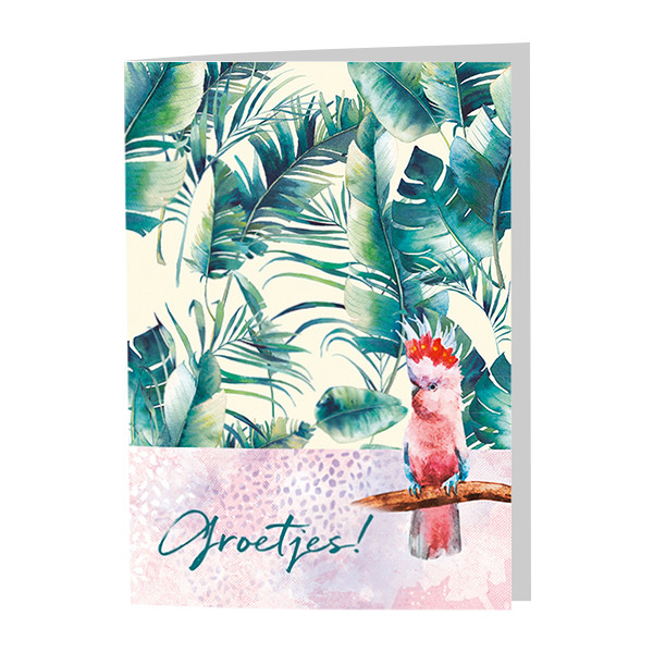 Dubbele wenskaarten tropical - set van 4