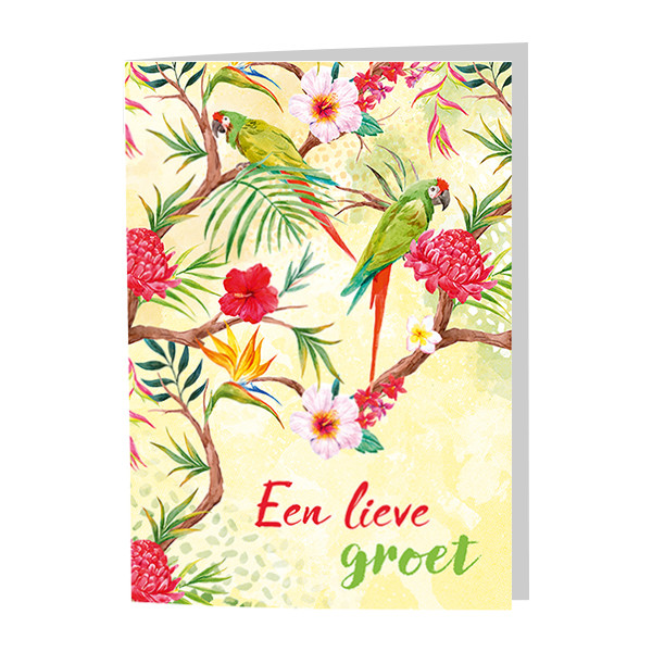 Dubbele wenskaarten tropical - set van 4