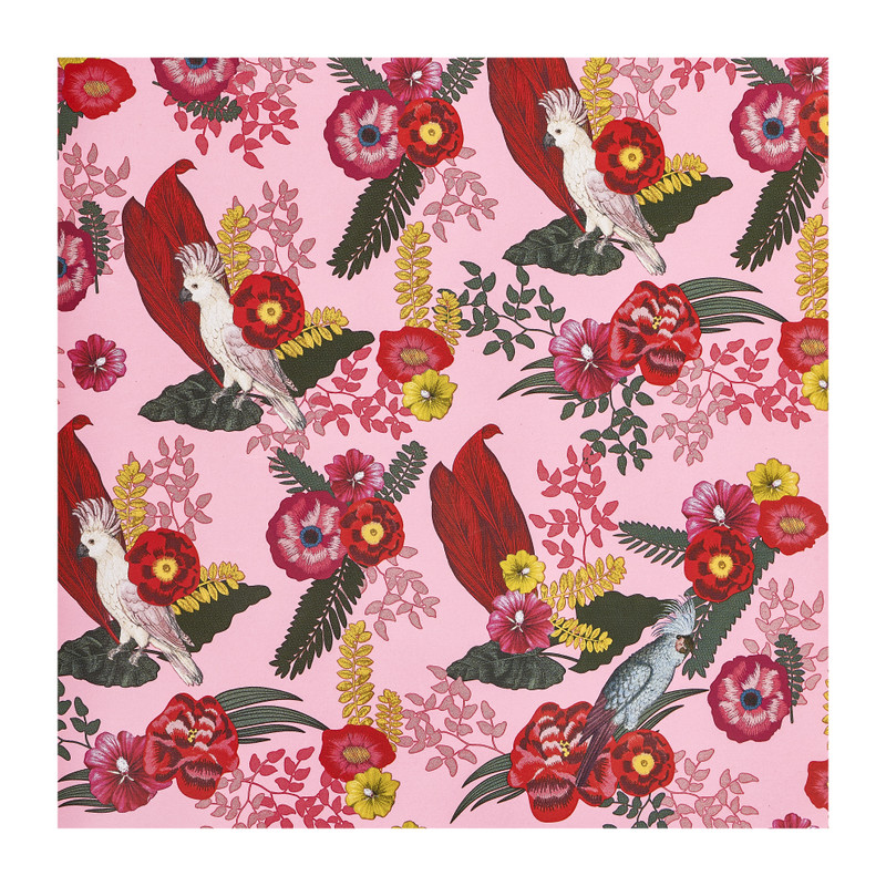 Cadeaupapier kaketoe - 200x70 cm