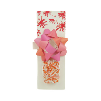 Cadeaulint en strik mix - rood/roze - set van 2