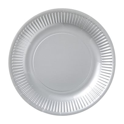 Papieren bordjes - zilverkleurig - set van 8 