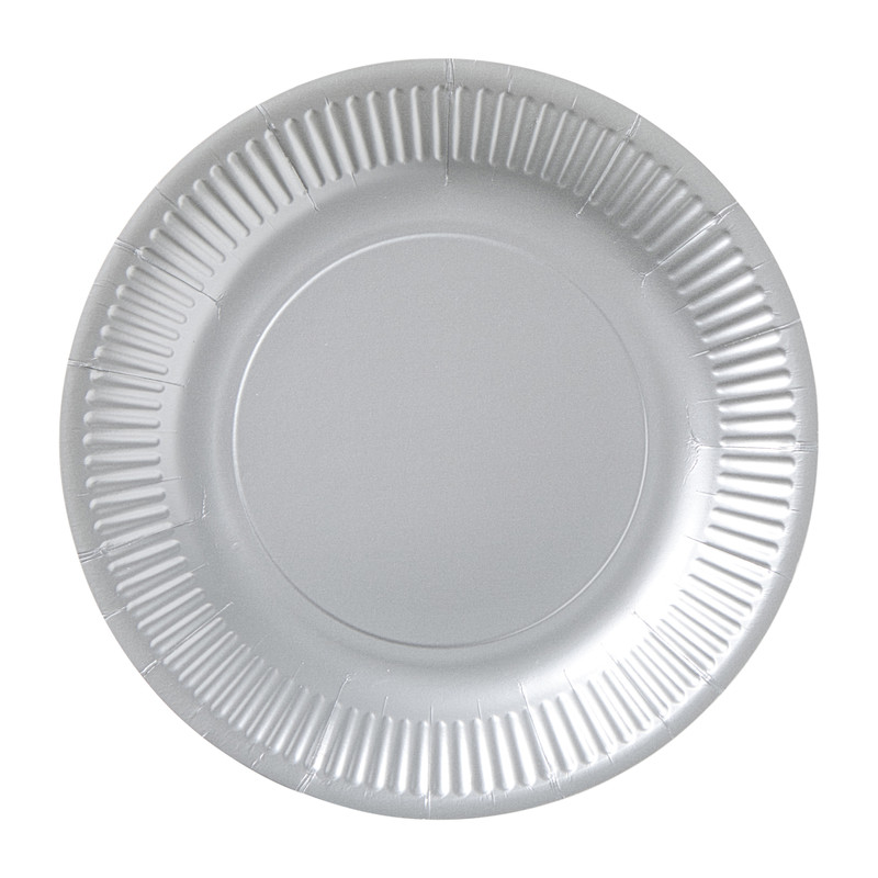 Papieren bordjes - zilverkleurig - set van 8 
