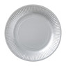 Papieren bordjes - zilverkleurig - set van 8 