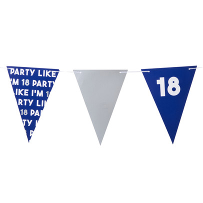 Vlaggenlijn 18 jaar - blauw - 10 meter