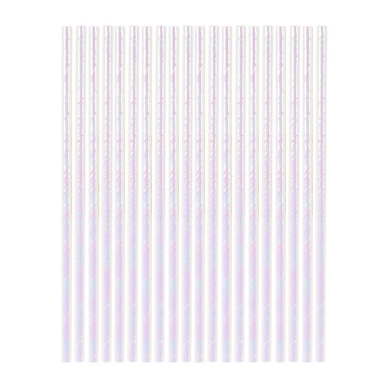 Rietjes zilverkleurig - set van 24