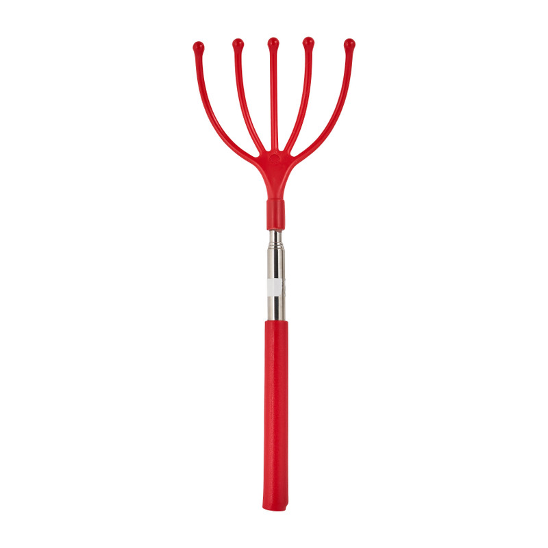 Ruggenkrabber - diverse kleuren - tot 63.5 cm 