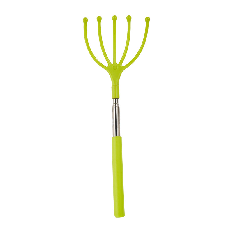 Ruggenkrabber - diverse kleuren - tot 63.5 cm 