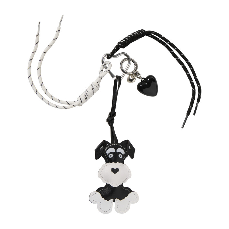 Tashanger - schnauzerhondje 