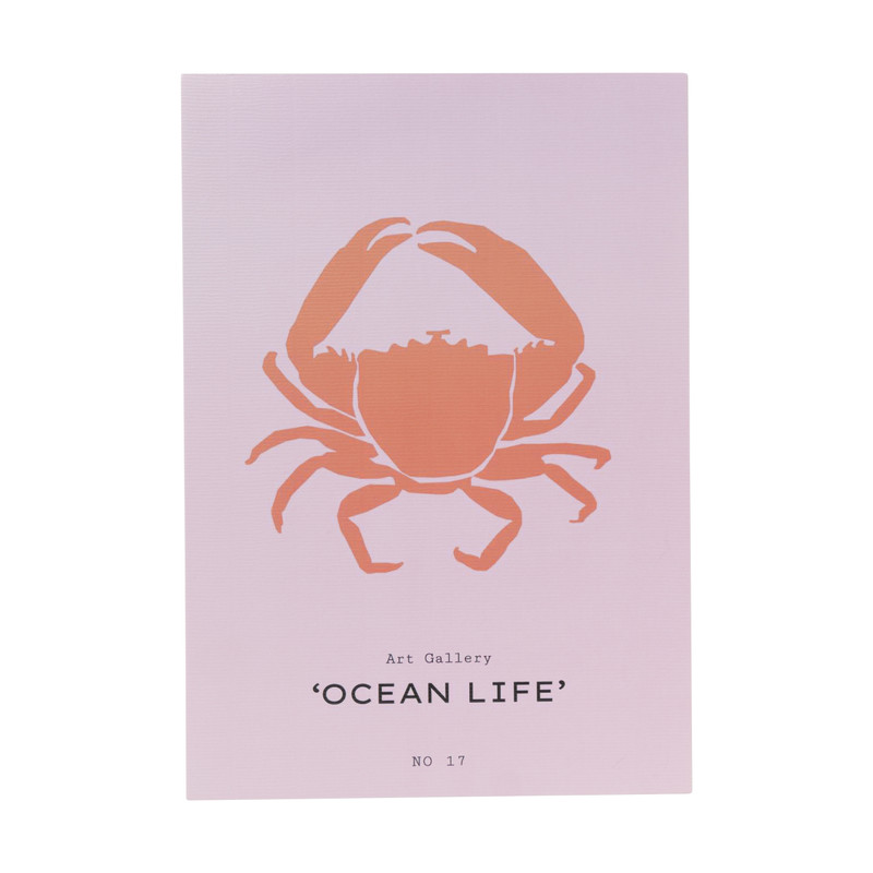 Poster krab - roze/rood - 21x30 cm