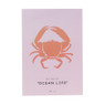 Poster krab - roze/rood - 21x30 cm