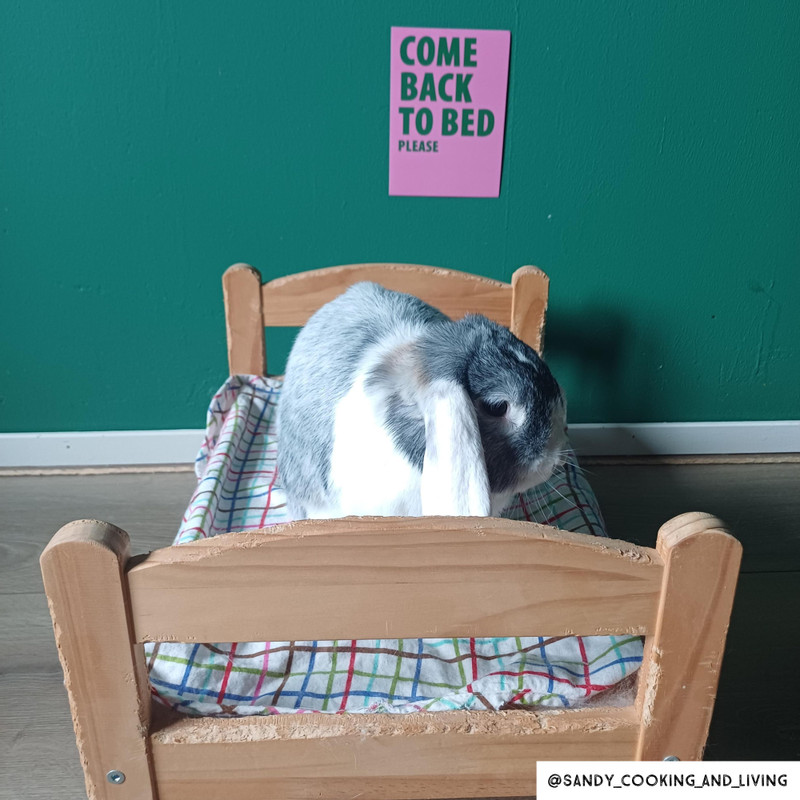 Poster come back to bed - roze/groen - 13x18 cm