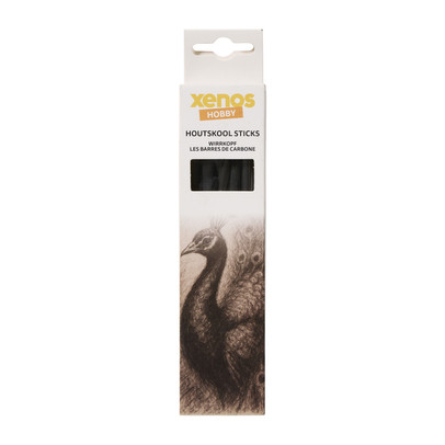 Houtskool sticks - set van 10