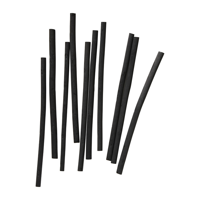 Houtskool sticks - set van 10
