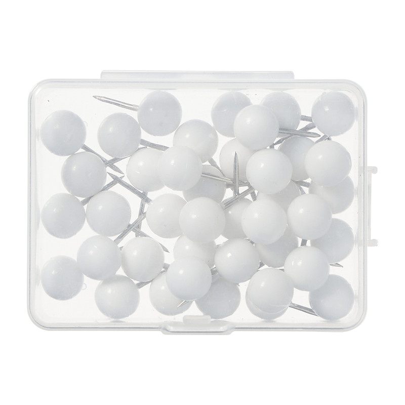 Punaises - wit - set van 40