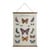 Vintage poster - vlinders - 50x70 cm