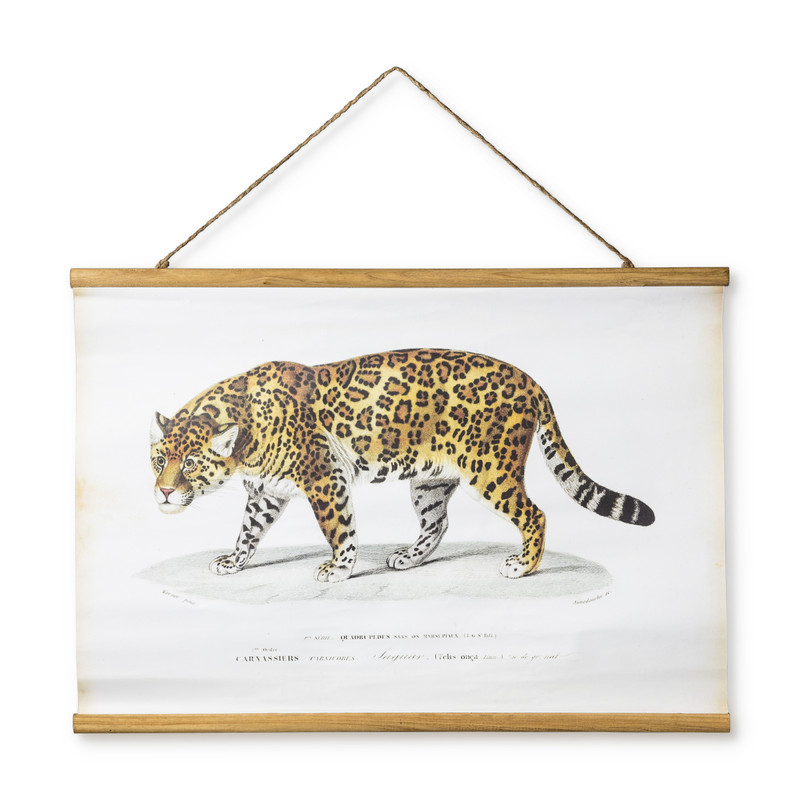 Onbepaald Afleiden Onveilig Vintage poster - luipaard - 70 x 50 cm | Xenos