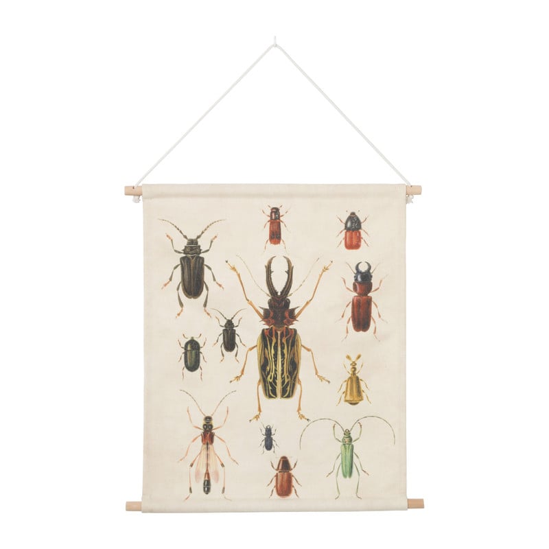 Vintage poster insecten - 35x45 cm