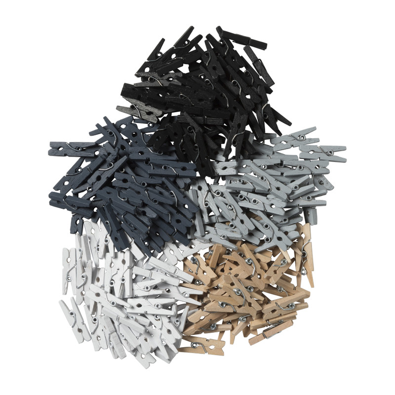 Houten knijpertjes in kistje - multikleur 