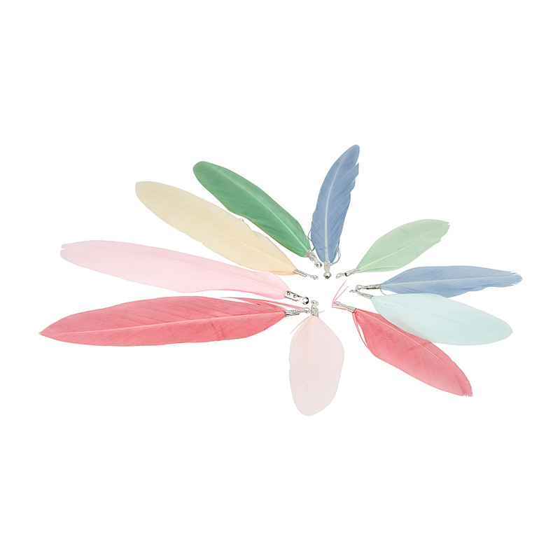 Veertjes - multikleur - set van 10