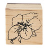 Stempel hawaii bloem 