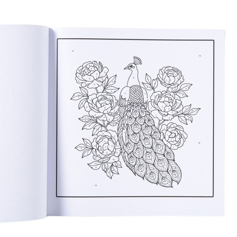 Kleurboek op nummer dieren - 20x20 cm