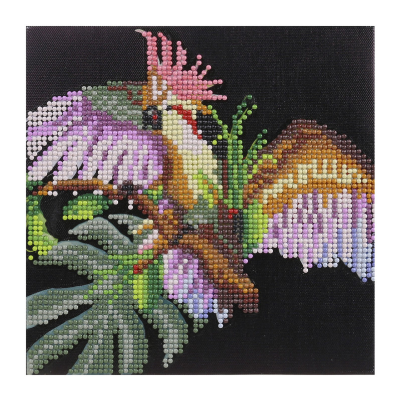 Diamond painting - vogel - 20x20 cm 