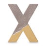 Letter  X - karton