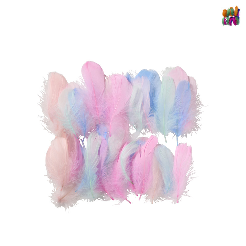 Veren - multikleur - set van 50 - diverse varianten