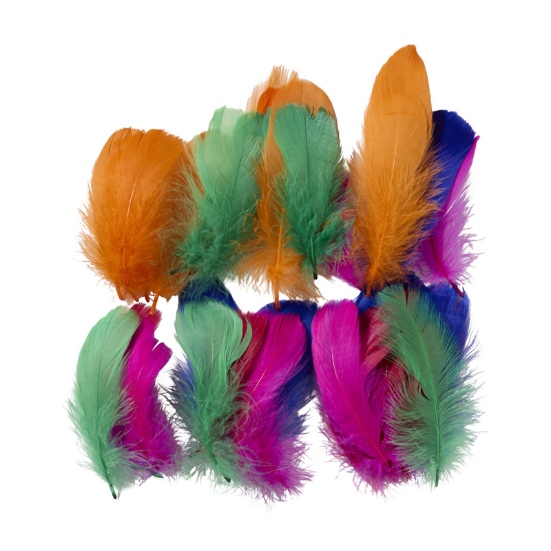 Veren - multikleur - set van 50 - diverse varianten