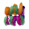 Veren - multikleur - set van 50 - diverse varianten