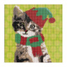 Diamond painting - kerst kat - 30x30 cm 