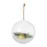Transparante kerstbal - ø12 cm - set van 2