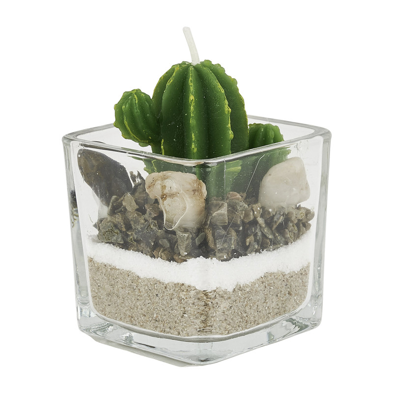 Cactuskaars in glas - groen - 5x5 cm