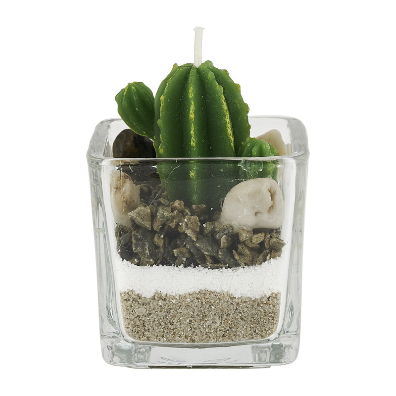 Cactuskaars in glas - groen - 5x5 cm