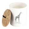 Geurkaars giraffe in pot - Fougere & musk