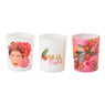 Kaarsen in glas Viva La Vida - set van 3