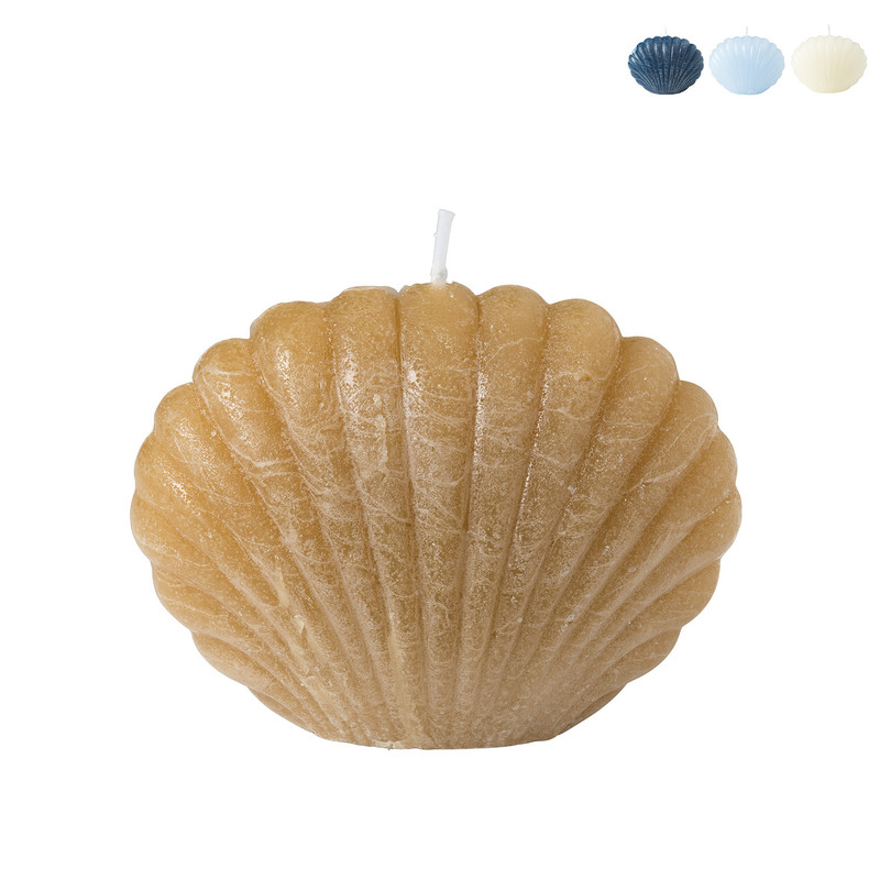 Sierkaars schelp - diverse kleuren - 6.5 cm