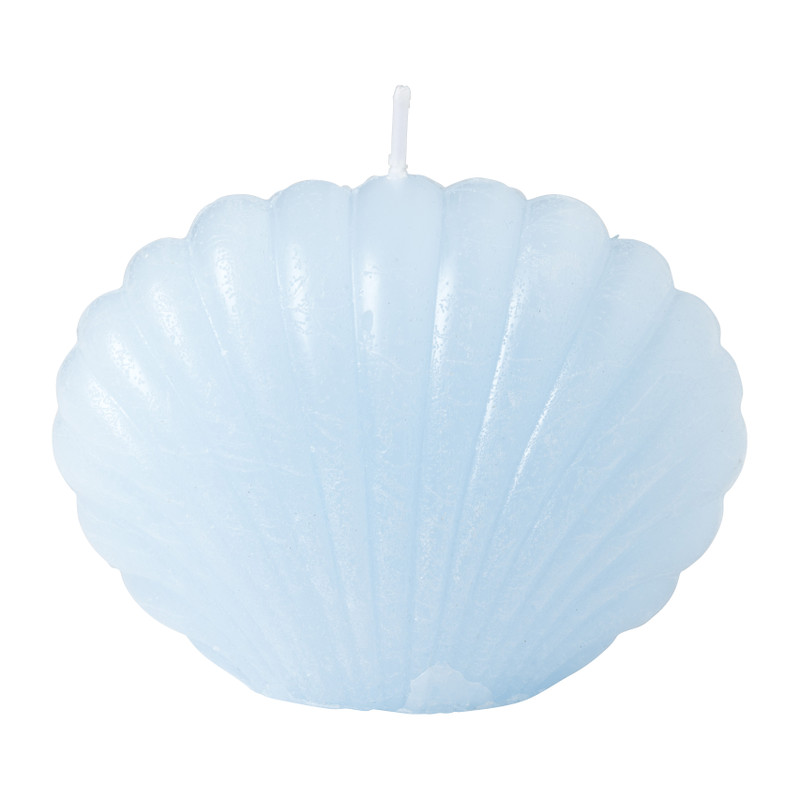 Sierkaars schelp - diverse kleuren - 6.5 cm