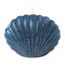 Sierkaars schelp - diverse kleuren - 6.5 cm