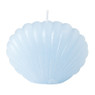 Sierkaars schelp - diverse kleuren - 6.5 cm