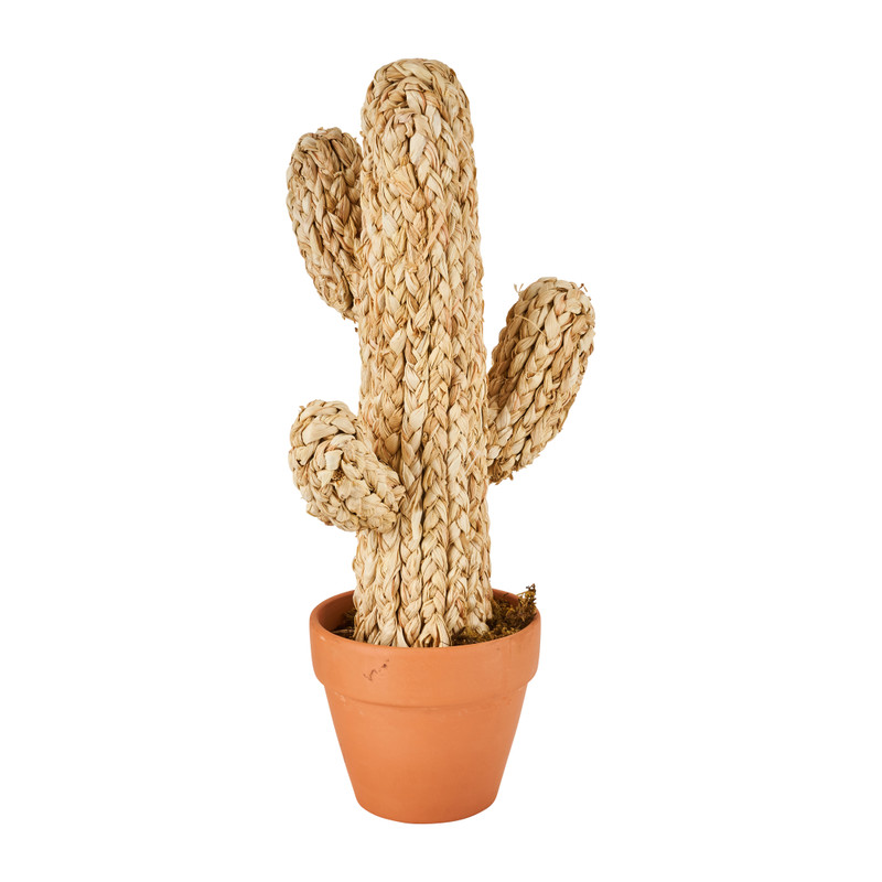 Cactus in pot beige 50 cm