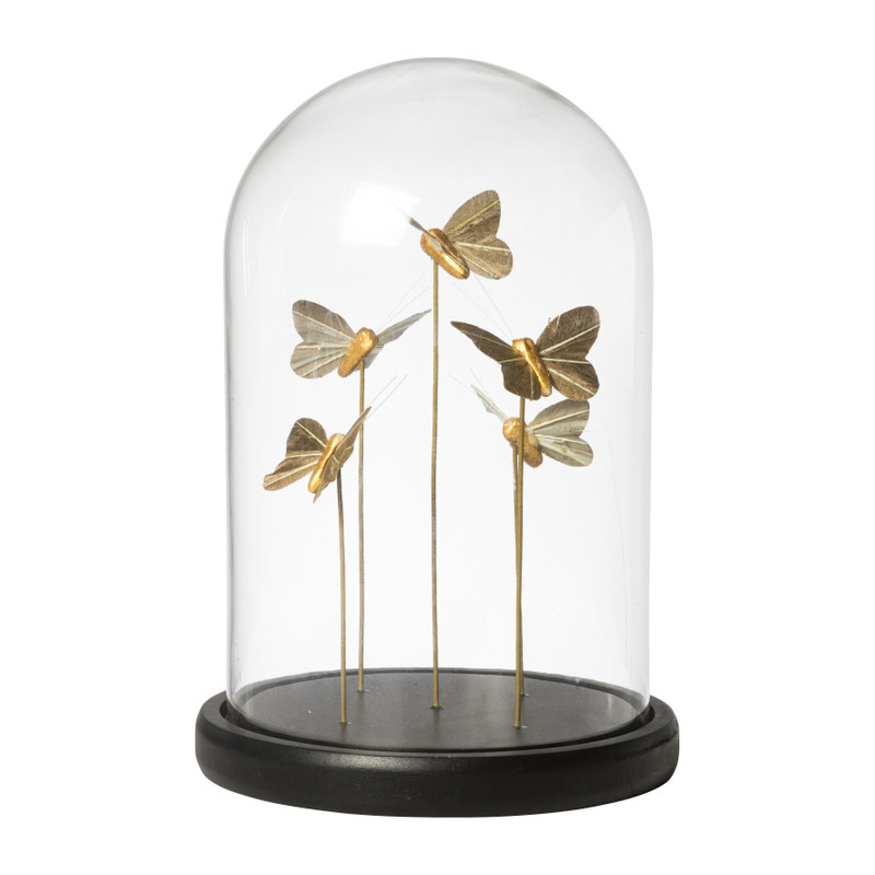 Coöperatie berouw hebben noodzaak Vlinder in stolp - goudkleurig - ø17x24.5 cm | Xenos