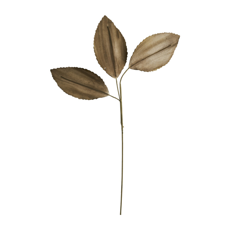 Velvet bladeren - mosgroen