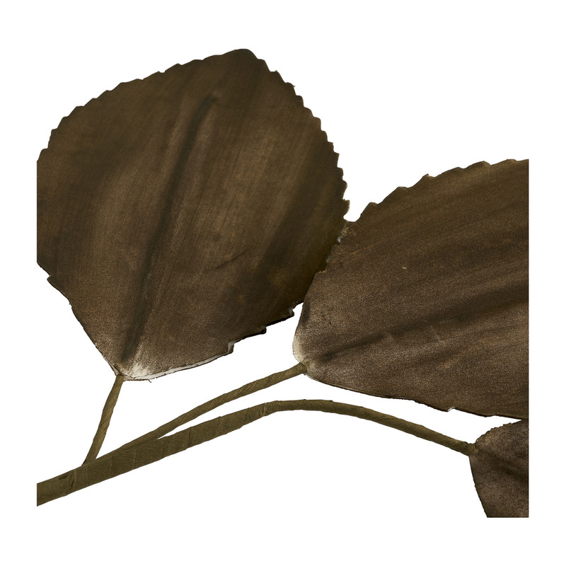 Velvet bladeren - mosgroen